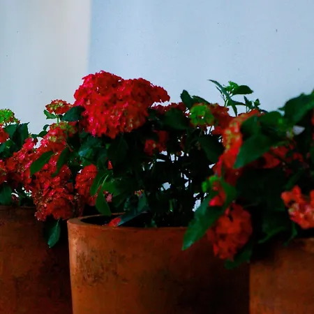 Flh Alcantara Stylish Duplex With Terrace Lissabon