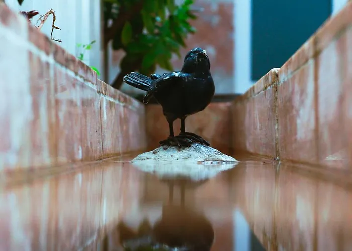 Flh Alcantara Stylish Duplex With Terrace Apartment